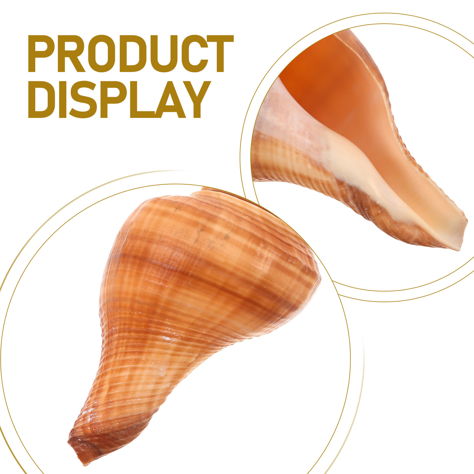 5Pcs Natural Conch Shell Whist - Emergency Whistle Loud บทวิจารณ์และราคา